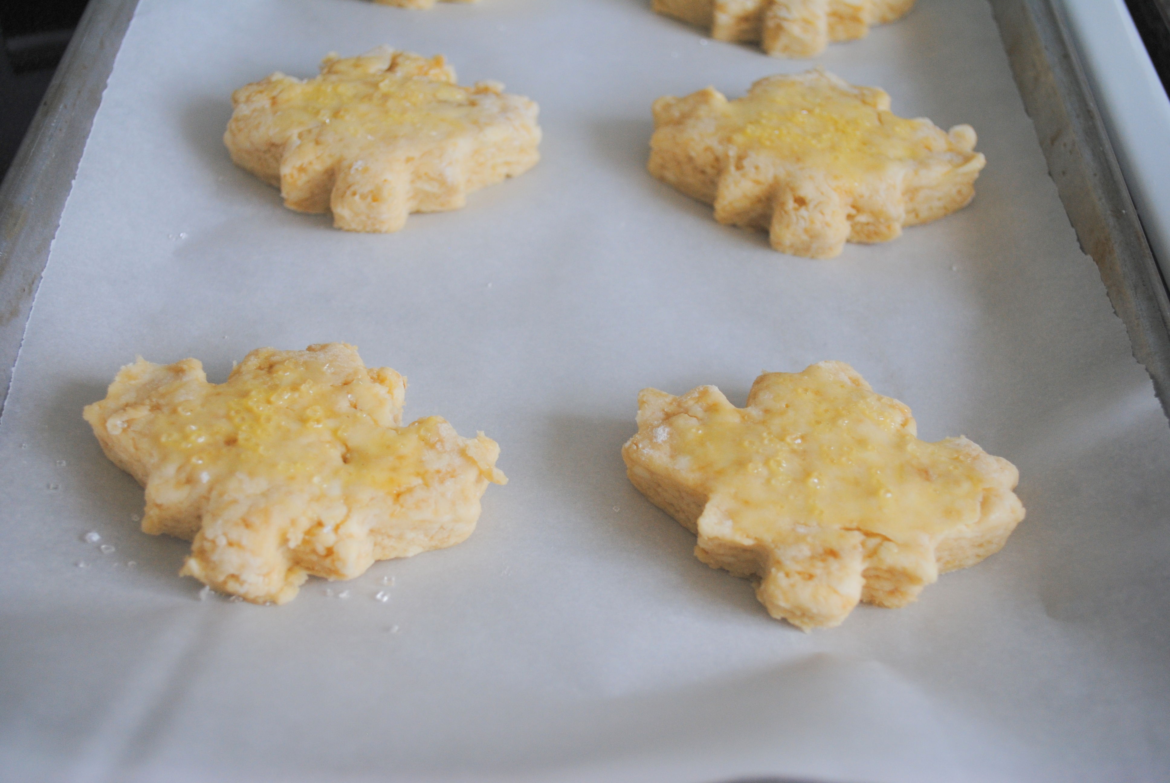 scones before baking